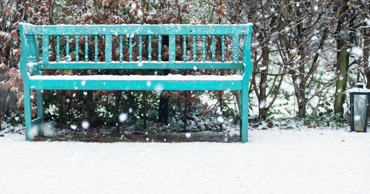 December 2021 Newsletter