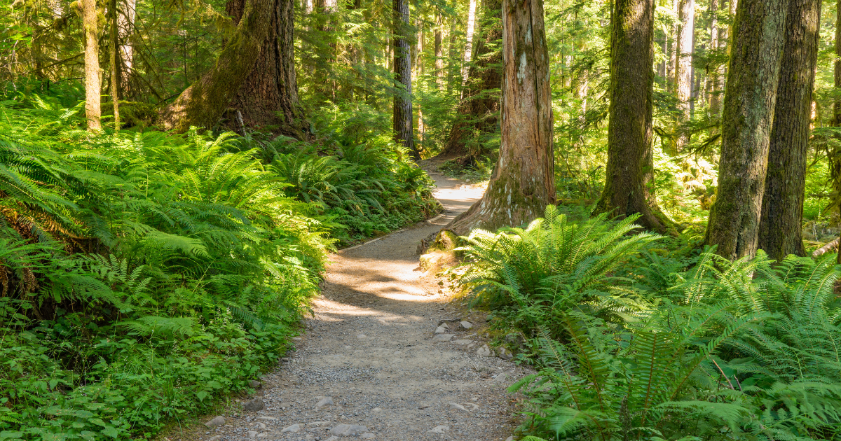 Big Rocks First and Get Out on the Trails