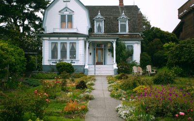 Best Plants for Virginia Backyards