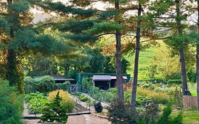 Introducing Bear Root Farm and Foodscapes