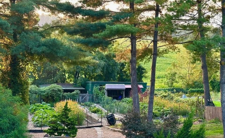Introducing Bear Root Farm and Foodscapes